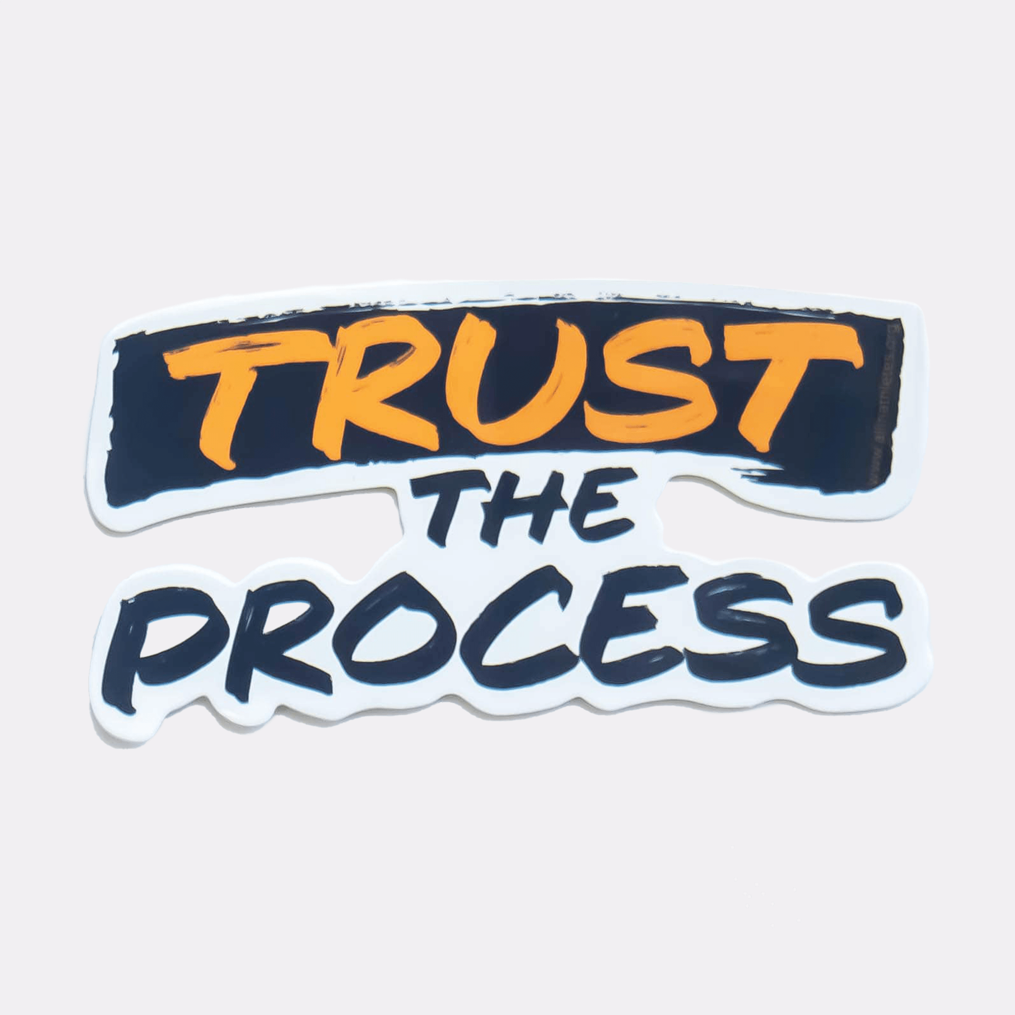 trust the process png