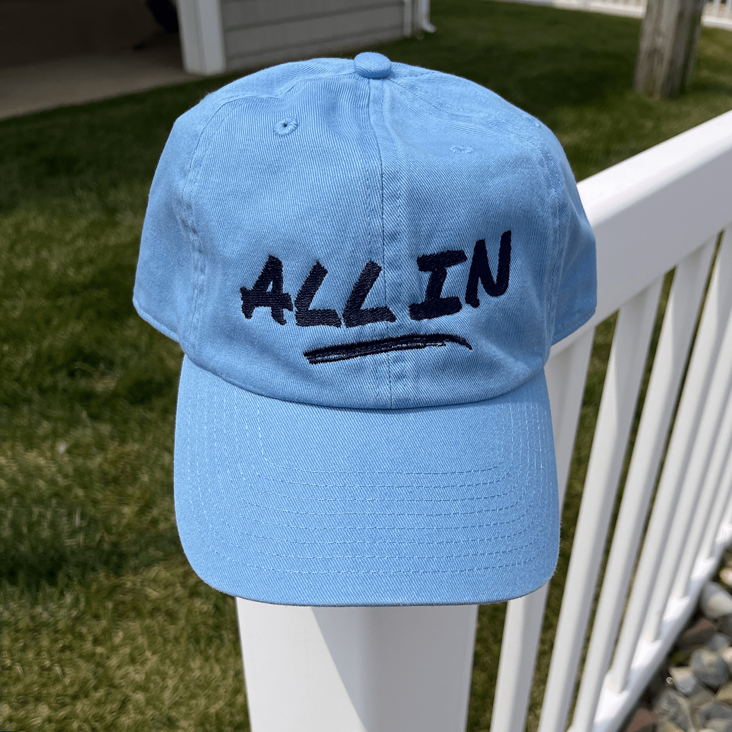 ALL IN Dad Hat