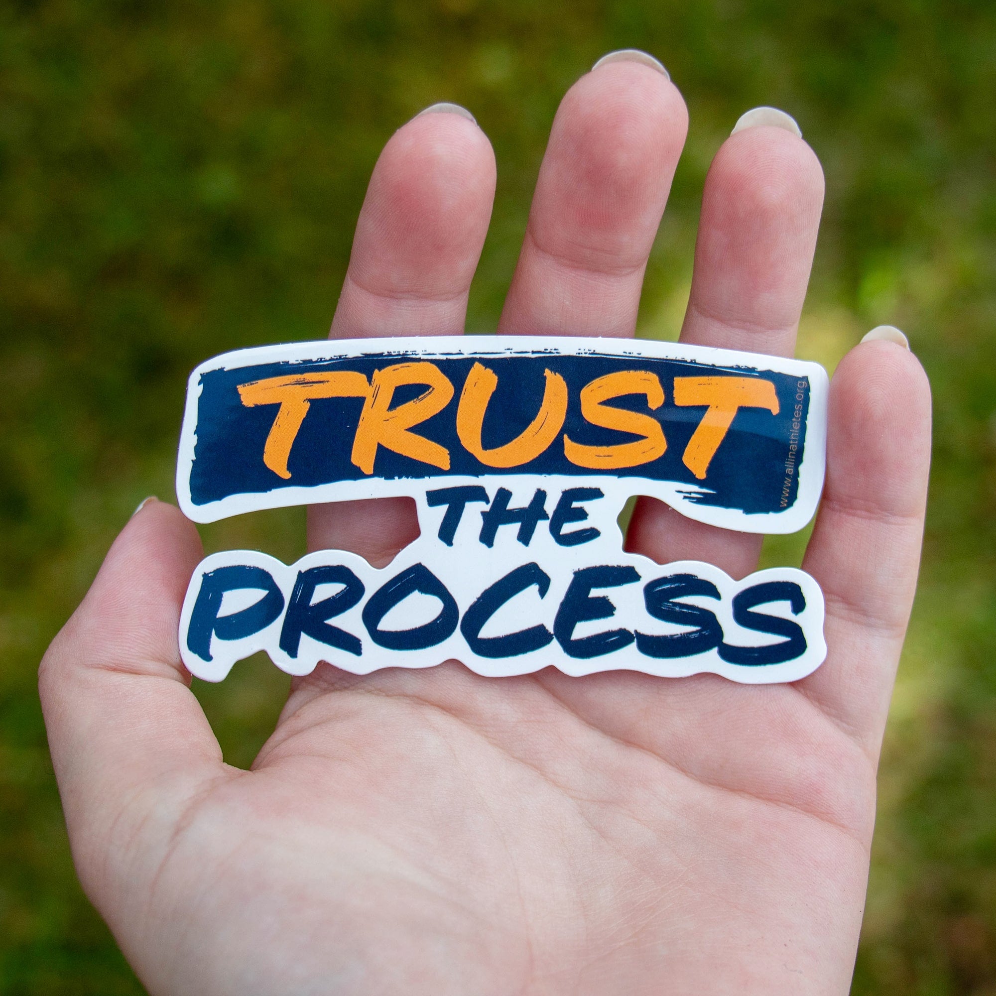 Trust The Process Vinyl Sticker